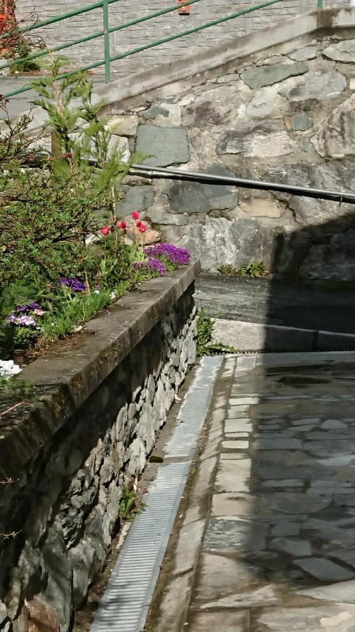 B&B Maison Odille Valtournenche Exterior foto